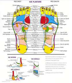 Reflexologie plantaire