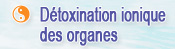 Détoxination ionique des organes